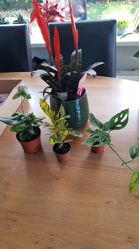 IMG-20191005-WA0011