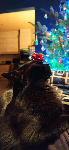 IMG_20201203_192959
