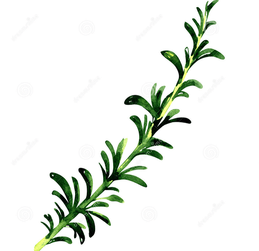 51