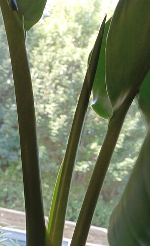 IMG-20221003-WA0000~2