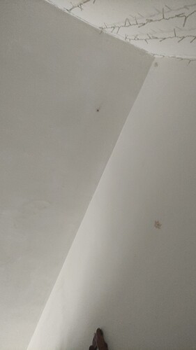 IMG-20210504-WA0000