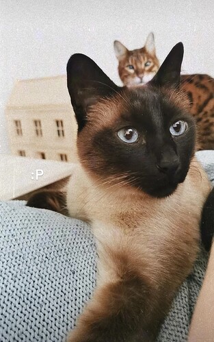 Screenshot_20220701_201133_com.instagram.android_edit_370775534422068