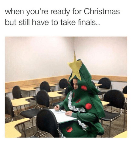 when-youre-ready-for-christmas-but-still-have-to-take-32348523