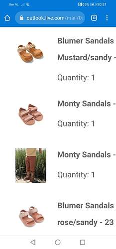 Screenshot_20211017_205140_com.android.chrome