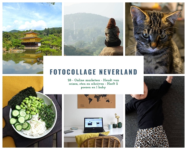 FOTOCOLLAGE NEVERLAND