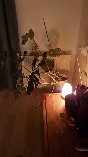 IMG-20191004-WA0143