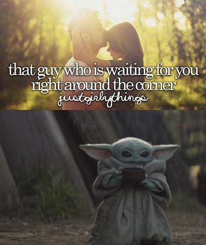 wdwdwdwdwdw