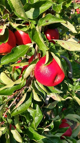 IMG_20200912_100703024_HDR
