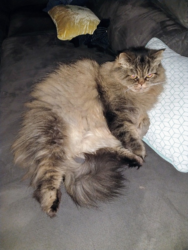 IMG_20181127_232016803