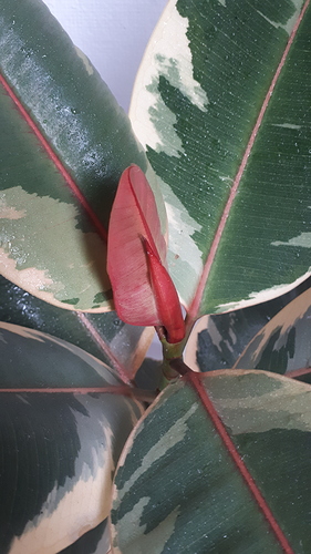 20190530_143220