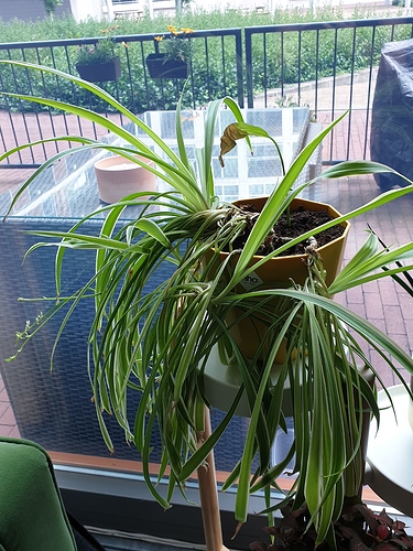 20190618_170529