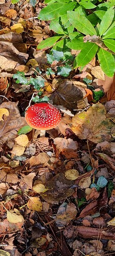 20211107_110843