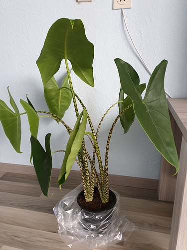 20191021_105805