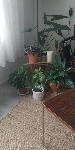IMG-20191025-WA0008
