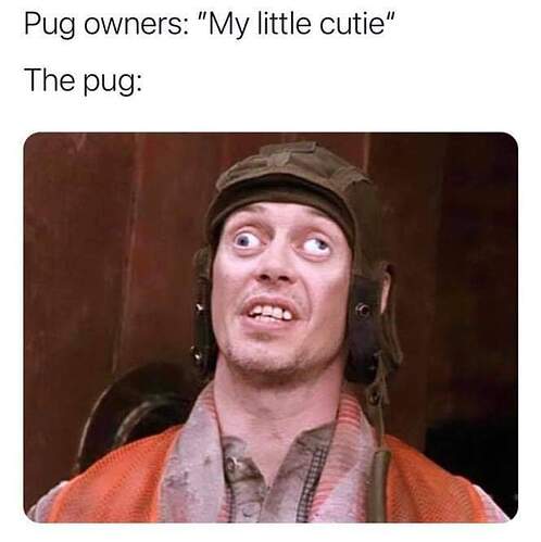 FB_IMG_1609863145872