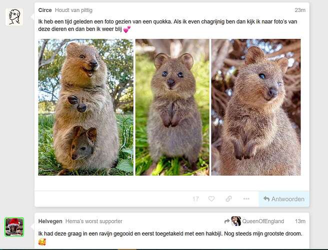hakbijl.PNG