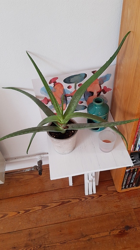 IMG-20191002-WA0014