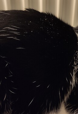 IMG_20210216_205751