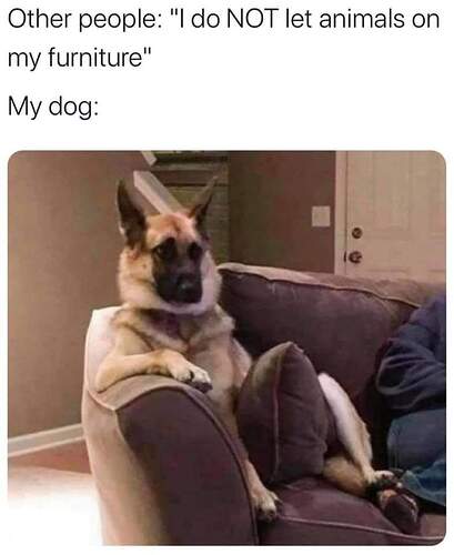 FB_IMG_1609956495366