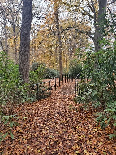 20201115_094339