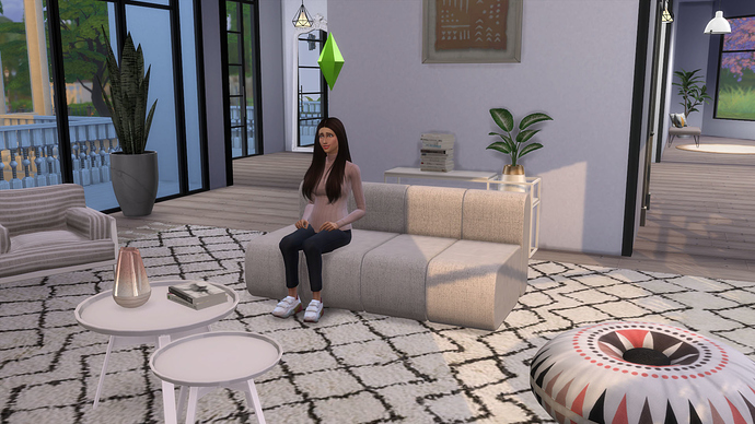 huis1