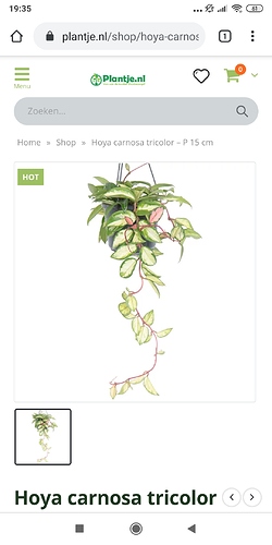 Screenshot_2020-09-04-19-35-01-279_com.android.chrome