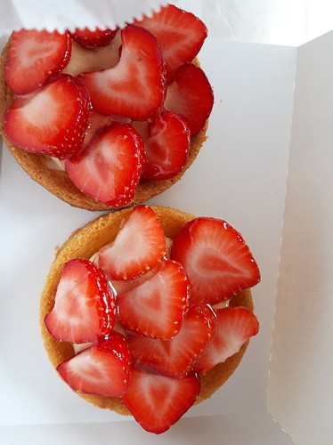 1562756549458893362222907041266