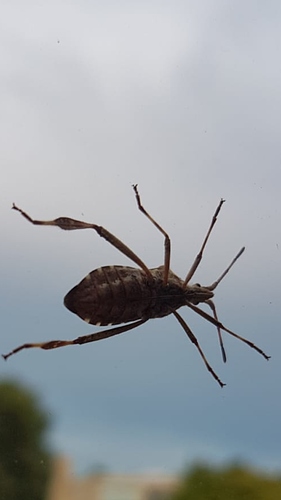 Screenshot_20190812-230752_WhatsApp