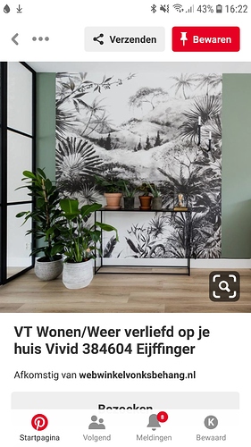 Screenshot_20190306-162233_Pinterest