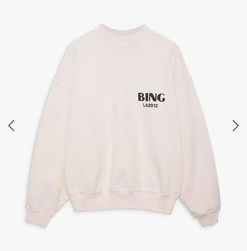 Anine bing