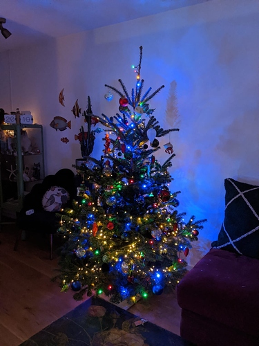 IMG-20191206-WA0016