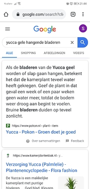 Screenshot_20200424_214403_com.android.chrome