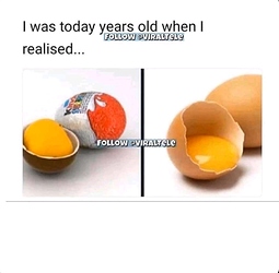 FB_IMG_15877046706980963