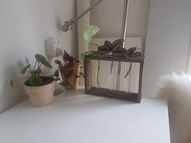 20190526_103847