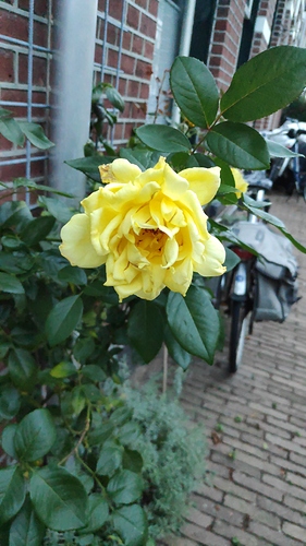 IMG_20200904_200423