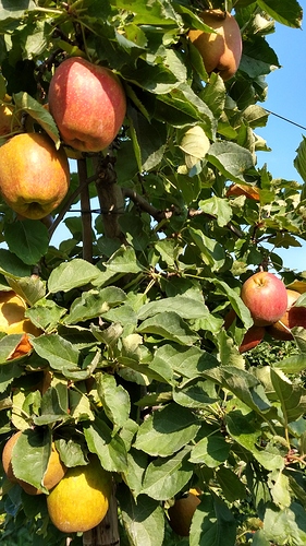 IMG_20200912_101520580_HDR