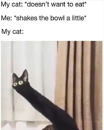 FB_IMG_1566633364911