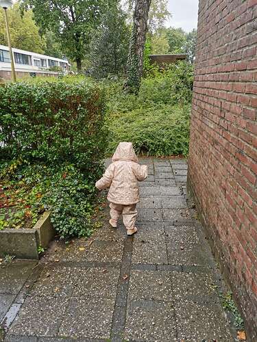 IMG_20211003_143706