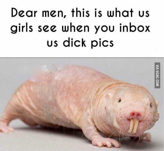 FYI-guys