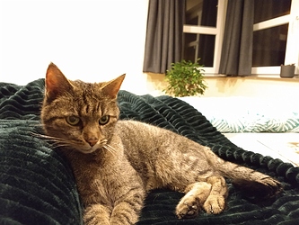 IMG_20200201_201948994
