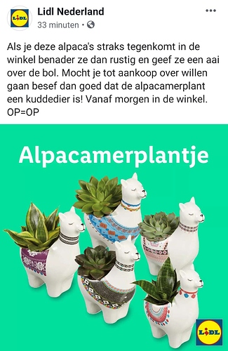 Screenshot_20190908-192551