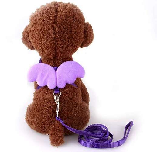 Screenshot_20220626-192032_AliExpress