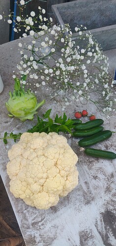 IMG_20220613_153058