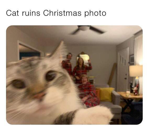 FB_IMG_1609141139037