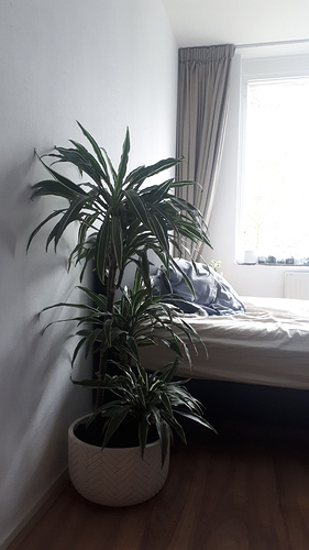 IMG-20191022-WA0008