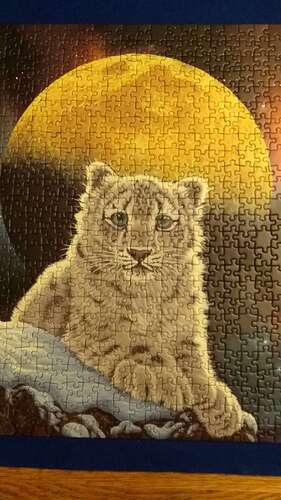 IMG-20210416-WA0005