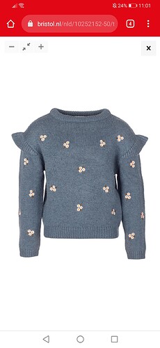 Screenshot_20211027_110101_com.android.chrome