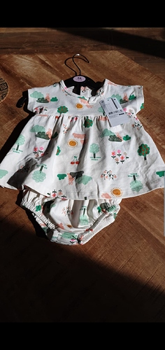 Screenshot_20190601-170919_WhatsApp