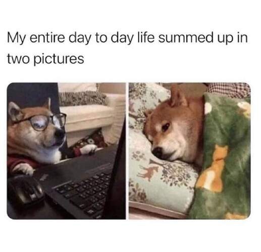 FB_IMG_1610318126881