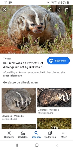 Screenshot_20200206-112936_Google